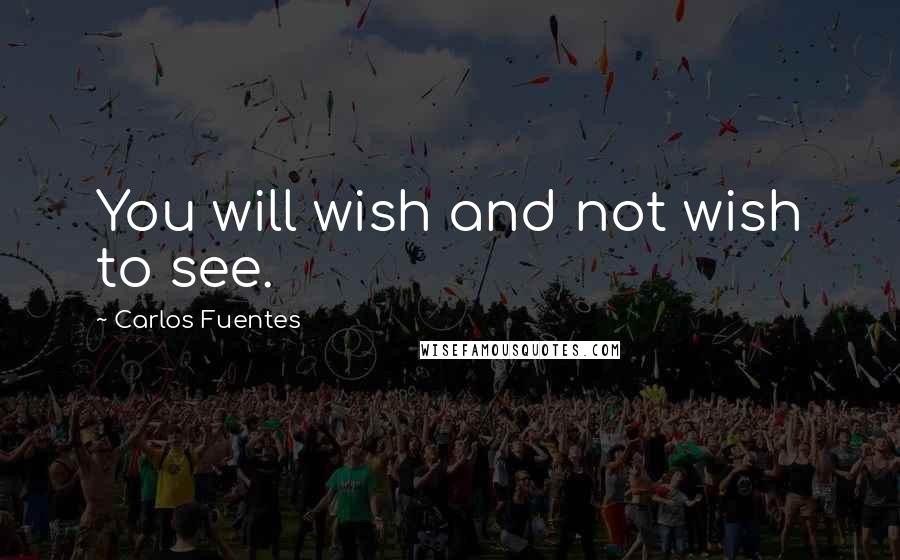 Carlos Fuentes Quotes: You will wish and not wish to see.