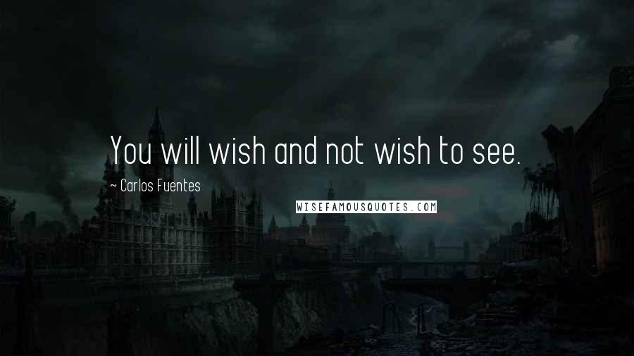 Carlos Fuentes Quotes: You will wish and not wish to see.