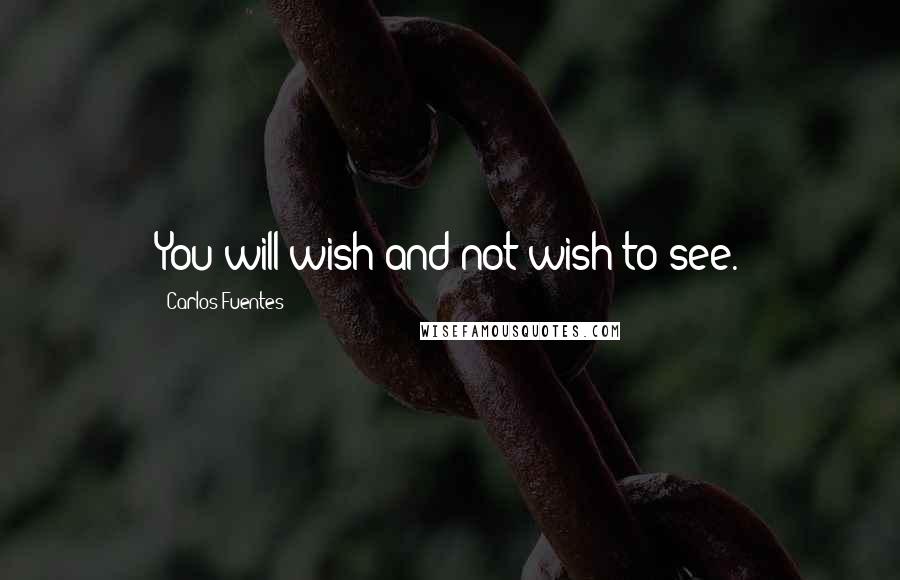 Carlos Fuentes Quotes: You will wish and not wish to see.