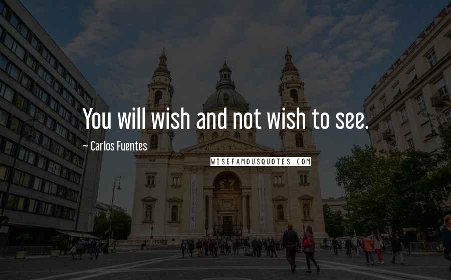 Carlos Fuentes Quotes: You will wish and not wish to see.