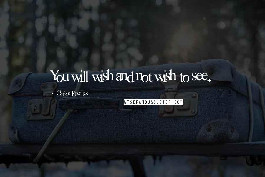 Carlos Fuentes Quotes: You will wish and not wish to see.