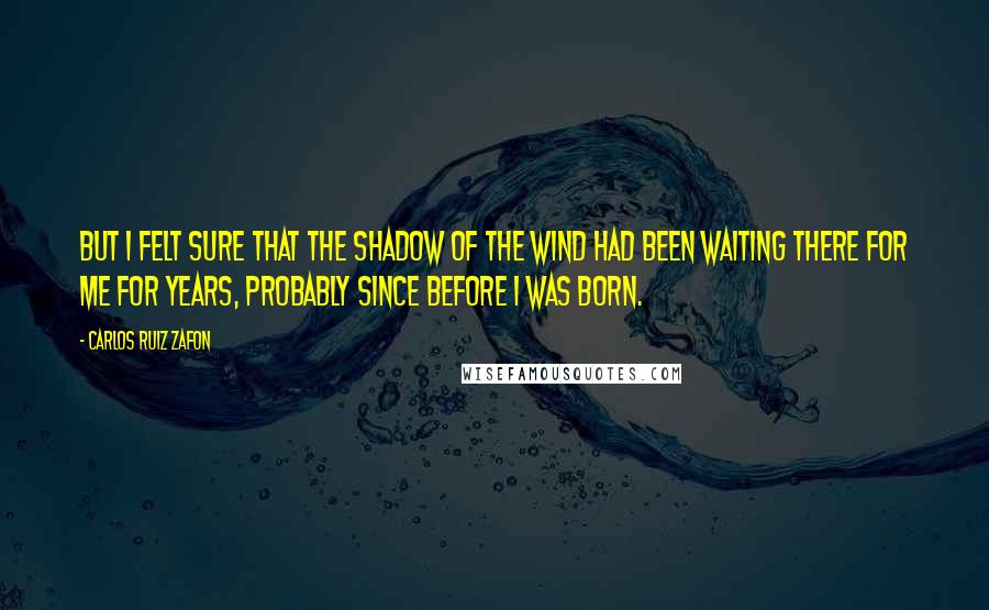 Carlos Ruiz Zafon Quotes: But I felt sure that The Shadow of the Wind had been waiting there for me for years, probably since before I was born.