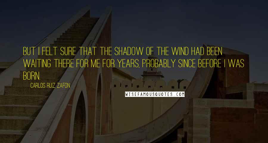 Carlos Ruiz Zafon Quotes: But I felt sure that The Shadow of the Wind had been waiting there for me for years, probably since before I was born.