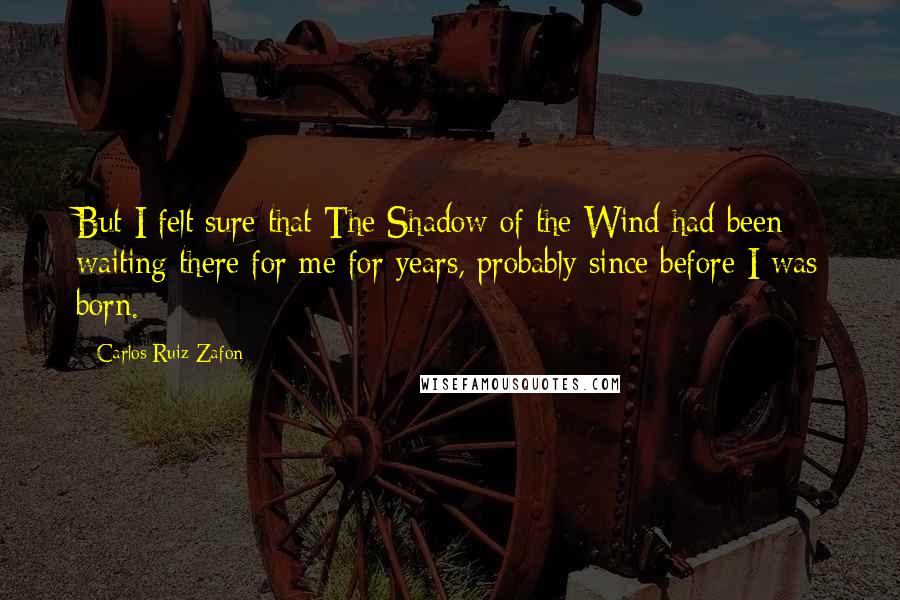 Carlos Ruiz Zafon Quotes: But I felt sure that The Shadow of the Wind had been waiting there for me for years, probably since before I was born.