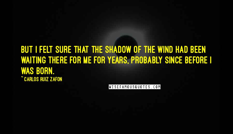 Carlos Ruiz Zafon Quotes: But I felt sure that The Shadow of the Wind had been waiting there for me for years, probably since before I was born.