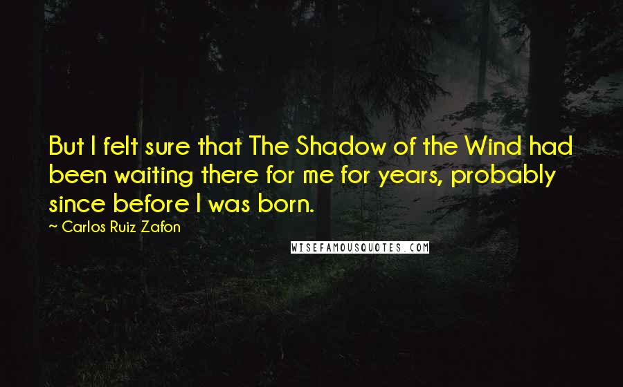 Carlos Ruiz Zafon Quotes: But I felt sure that The Shadow of the Wind had been waiting there for me for years, probably since before I was born.