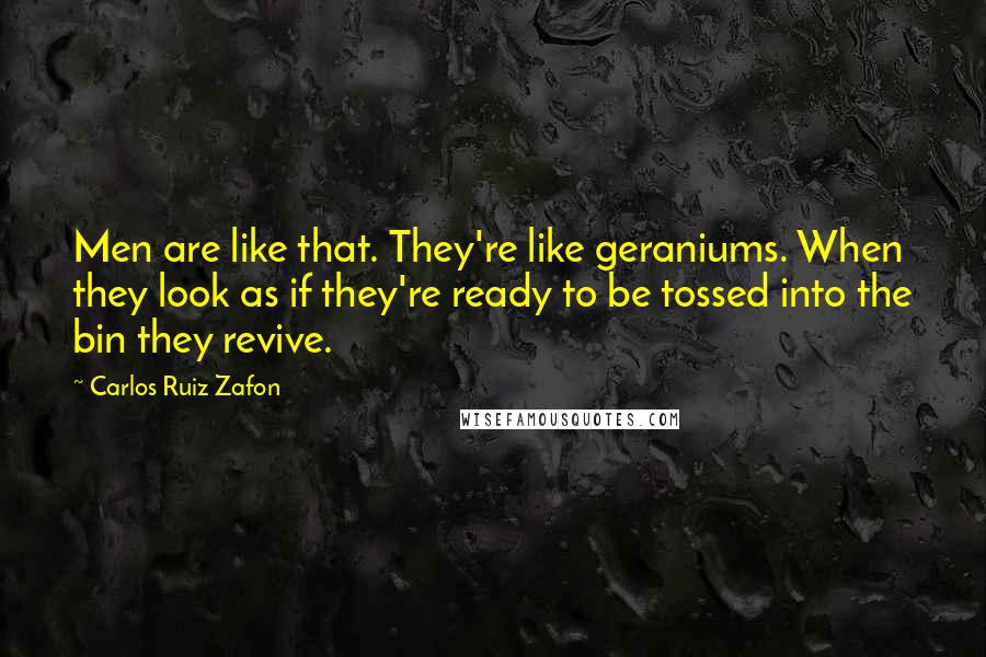 Carlos Ruiz Zafon Quotes: Men are like that. They're like geraniums. When they look as if they're ready to be tossed into the bin they revive.