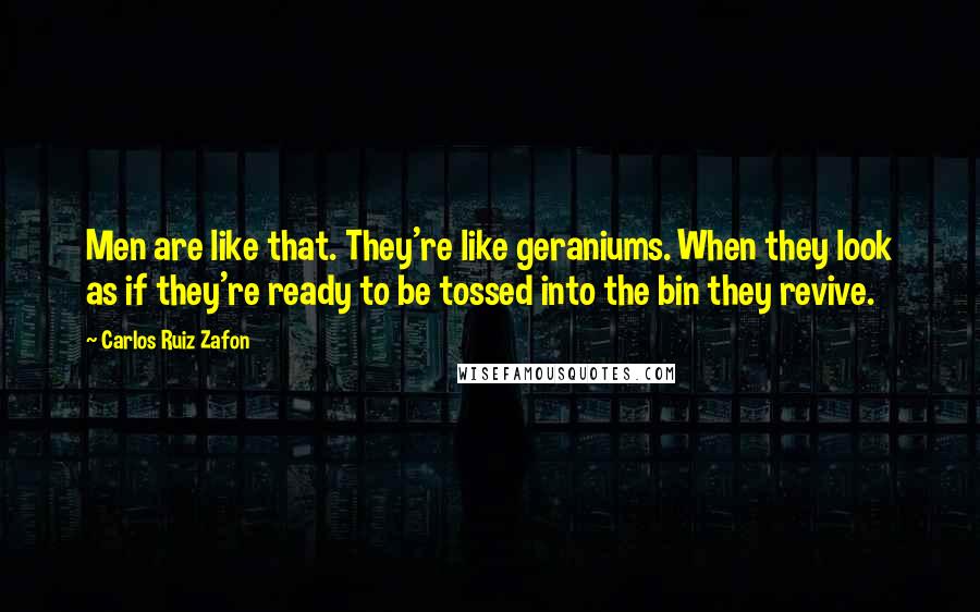 Carlos Ruiz Zafon Quotes: Men are like that. They're like geraniums. When they look as if they're ready to be tossed into the bin they revive.