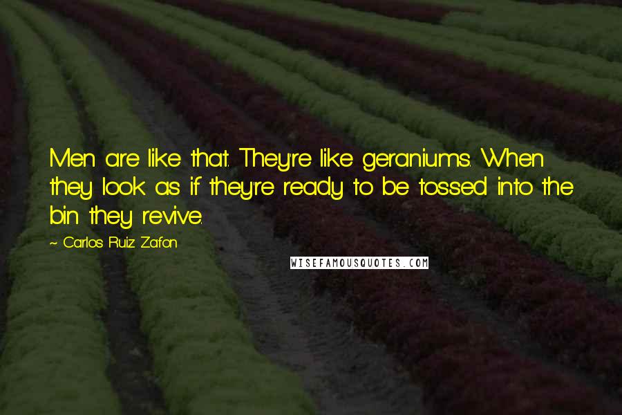 Carlos Ruiz Zafon Quotes: Men are like that. They're like geraniums. When they look as if they're ready to be tossed into the bin they revive.