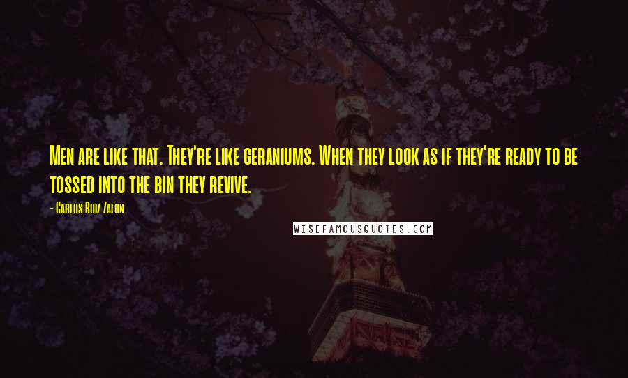 Carlos Ruiz Zafon Quotes: Men are like that. They're like geraniums. When they look as if they're ready to be tossed into the bin they revive.