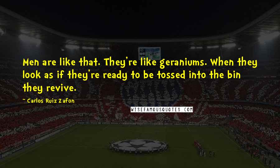 Carlos Ruiz Zafon Quotes: Men are like that. They're like geraniums. When they look as if they're ready to be tossed into the bin they revive.