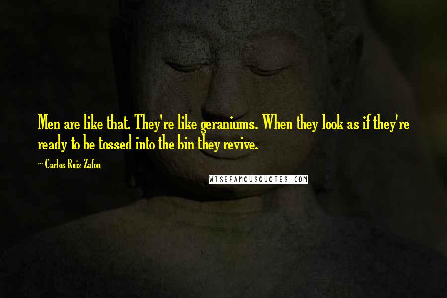 Carlos Ruiz Zafon Quotes: Men are like that. They're like geraniums. When they look as if they're ready to be tossed into the bin they revive.