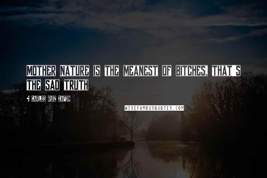 Carlos Ruiz Zafon Quotes: Mother Nature is the meanest of bitches, that's the sad truth