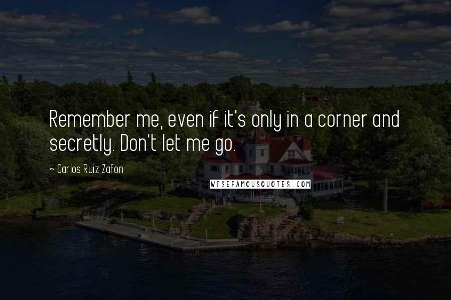 Carlos Ruiz Zafon Quotes: Remember me, even if it's only in a corner and secretly. Don't let me go.