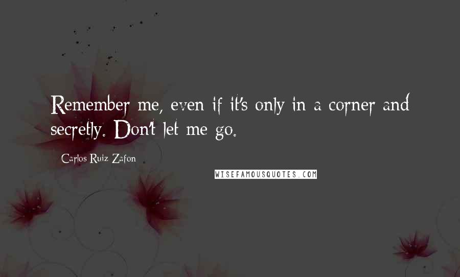 Carlos Ruiz Zafon Quotes: Remember me, even if it's only in a corner and secretly. Don't let me go.