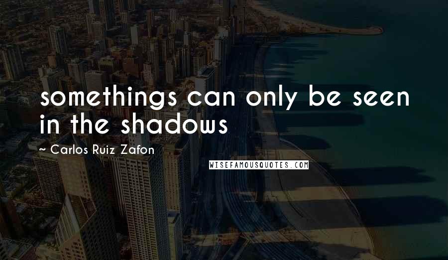 Carlos Ruiz Zafon Quotes: somethings can only be seen in the shadows