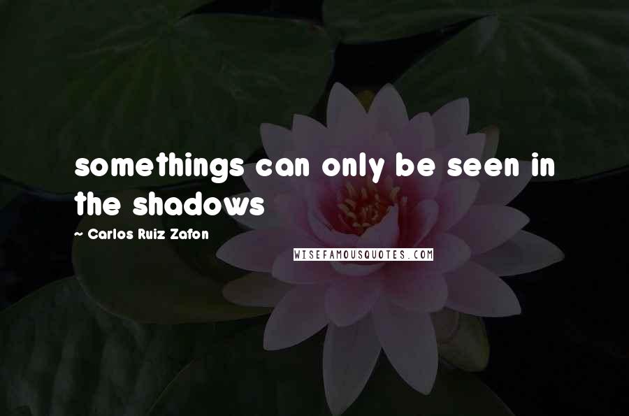 Carlos Ruiz Zafon Quotes: somethings can only be seen in the shadows