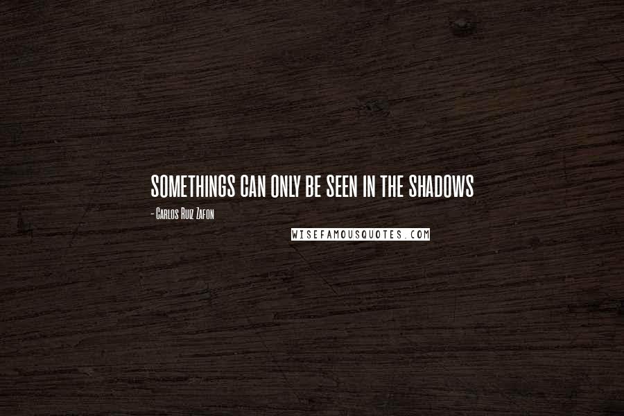 Carlos Ruiz Zafon Quotes: somethings can only be seen in the shadows