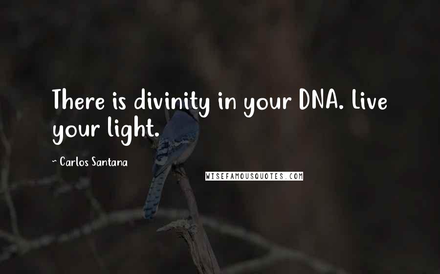 Carlos Santana Quotes: There is divinity in your DNA. Live your light.