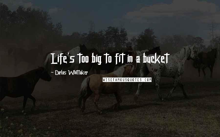 Carlos Whittaker Quotes: Life's too big to fit in a bucket