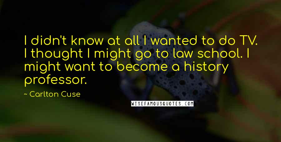 Carlton Cuse Quotes: I didn't know at all I wanted to do TV. I thought I might go to law school. I might want to become a history professor.