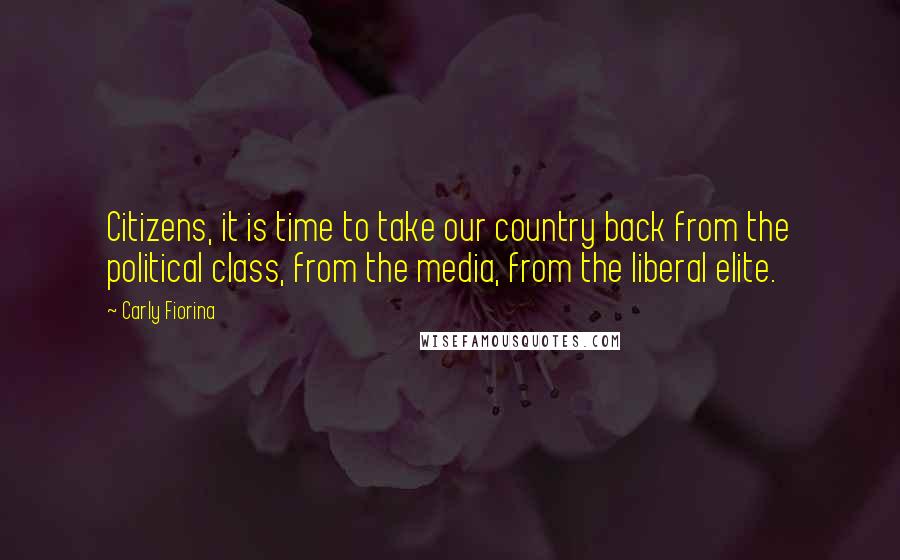 Carly Fiorina Quotes: Citizens, it is time to take our country back from the political class, from the media, from the liberal elite.