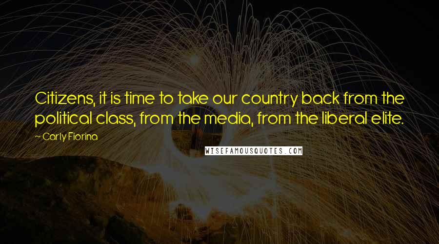 Carly Fiorina Quotes: Citizens, it is time to take our country back from the political class, from the media, from the liberal elite.