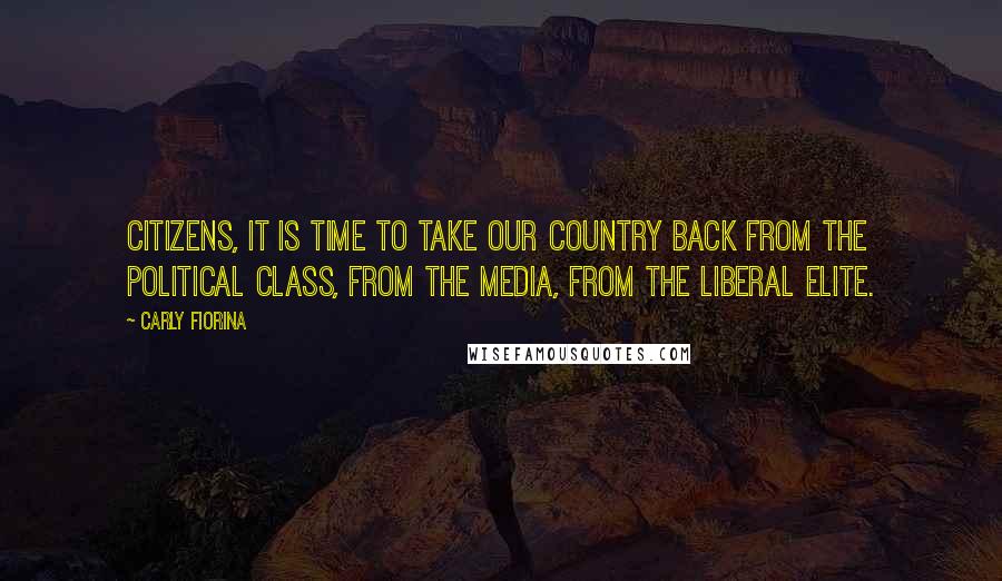 Carly Fiorina Quotes: Citizens, it is time to take our country back from the political class, from the media, from the liberal elite.