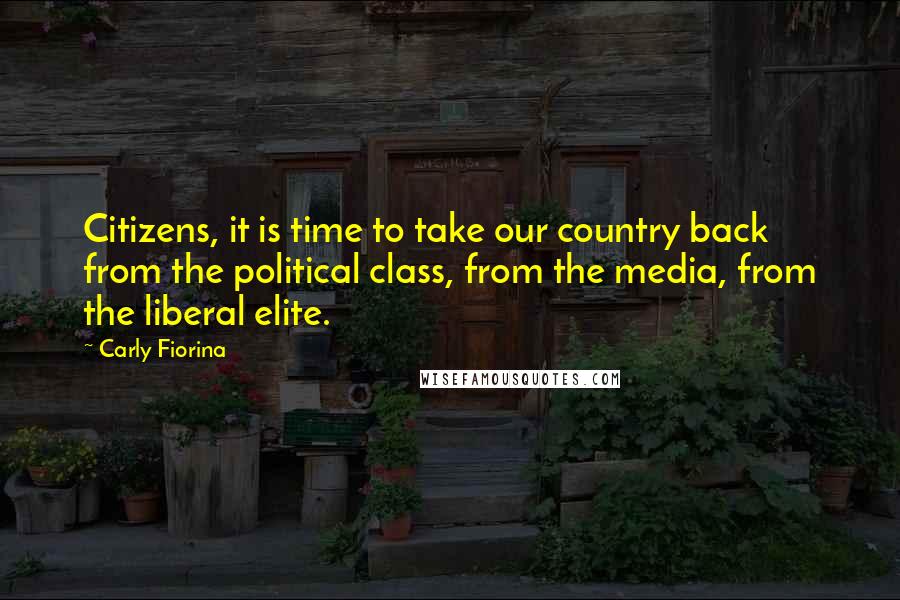 Carly Fiorina Quotes: Citizens, it is time to take our country back from the political class, from the media, from the liberal elite.