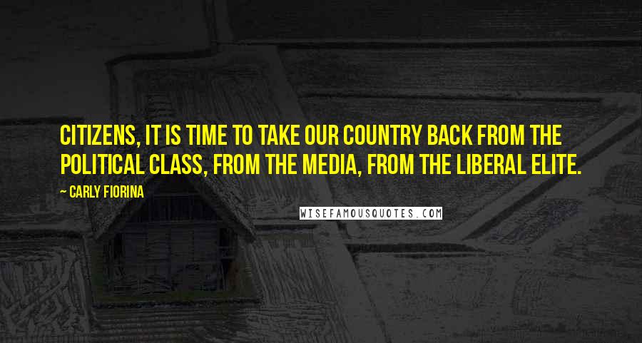 Carly Fiorina Quotes: Citizens, it is time to take our country back from the political class, from the media, from the liberal elite.