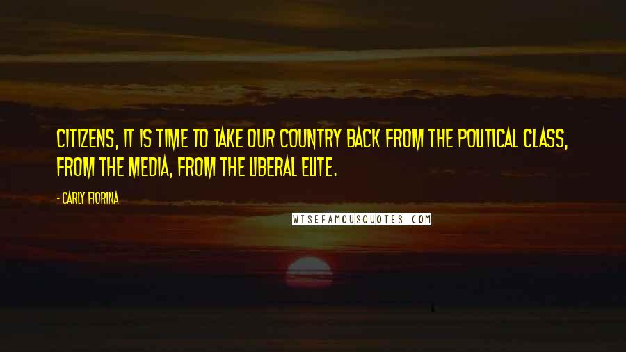 Carly Fiorina Quotes: Citizens, it is time to take our country back from the political class, from the media, from the liberal elite.