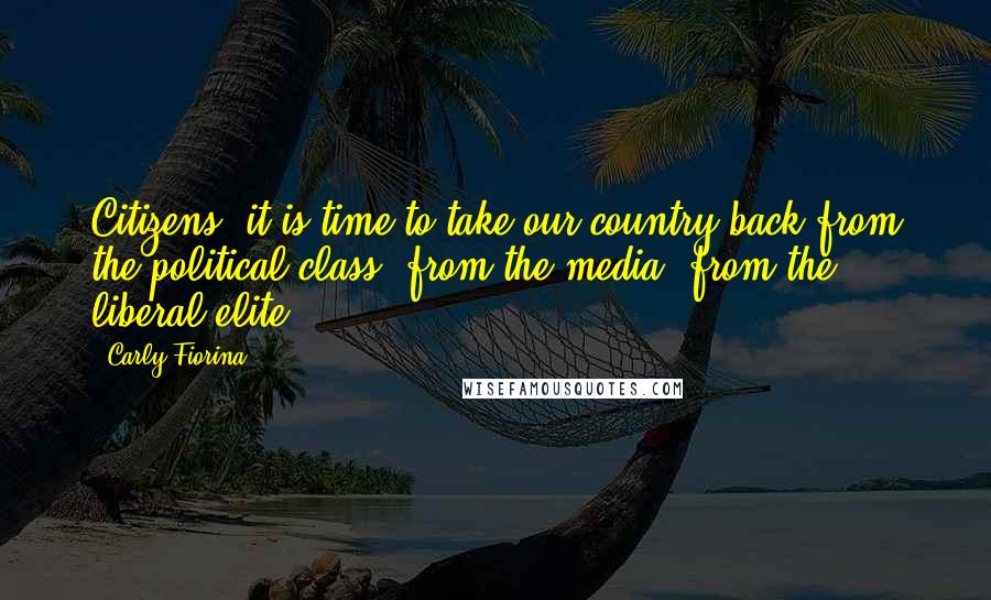 Carly Fiorina Quotes: Citizens, it is time to take our country back from the political class, from the media, from the liberal elite.