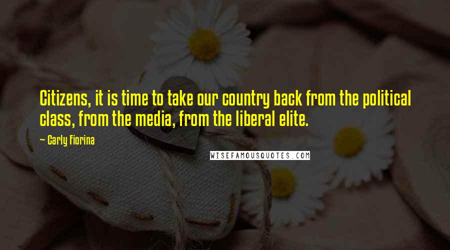 Carly Fiorina Quotes: Citizens, it is time to take our country back from the political class, from the media, from the liberal elite.