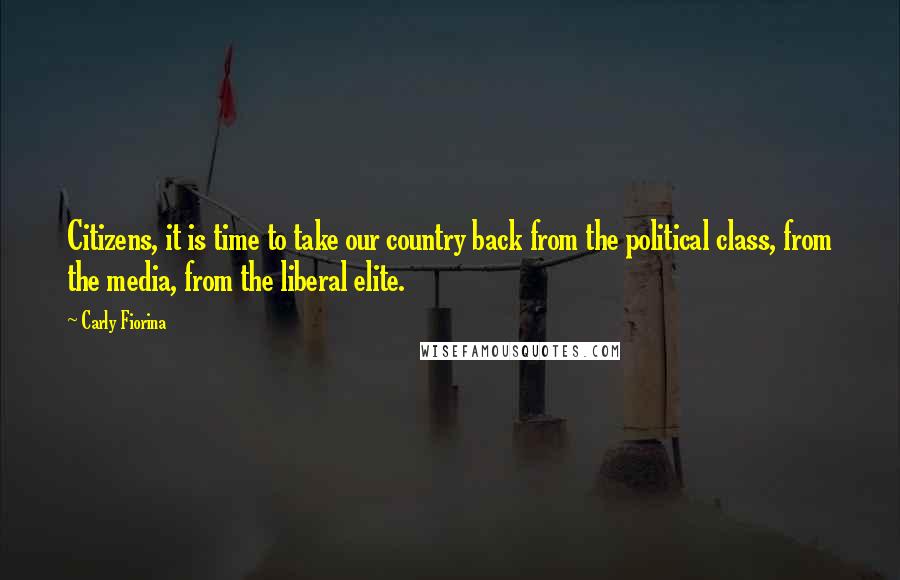 Carly Fiorina Quotes: Citizens, it is time to take our country back from the political class, from the media, from the liberal elite.