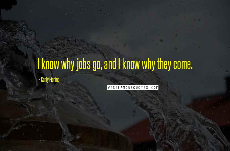 Carly Fiorina Quotes: I know why jobs go, and I know why they come.