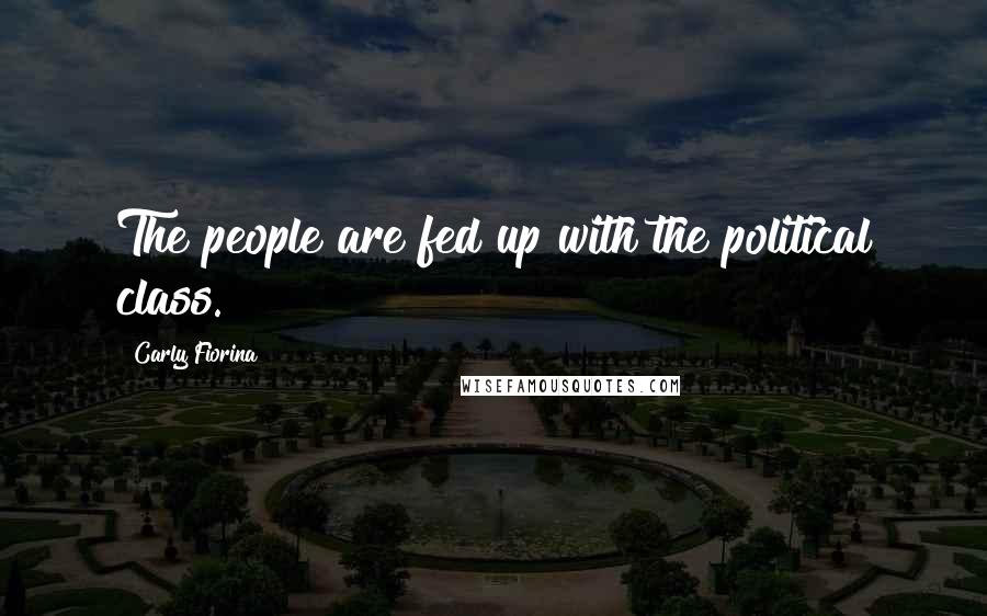 Carly Fiorina Quotes: The people are fed up with the political class.