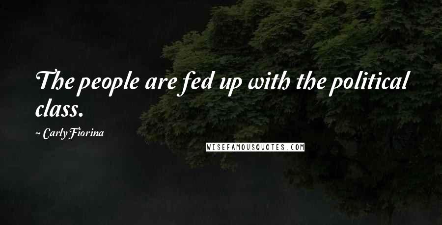 Carly Fiorina Quotes: The people are fed up with the political class.
