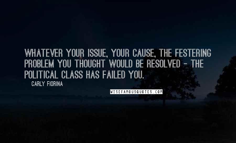 Carly Fiorina Quotes: Whatever your issue, your cause, the festering problem you thought would be resolved - the political class has failed you.