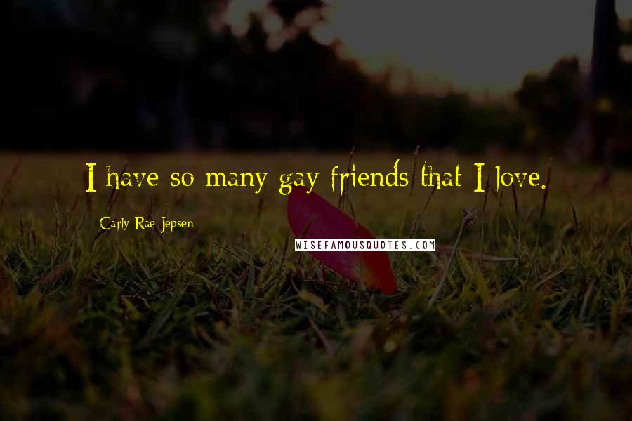 Carly Rae Jepsen Quotes: I have so many gay friends that I love.
