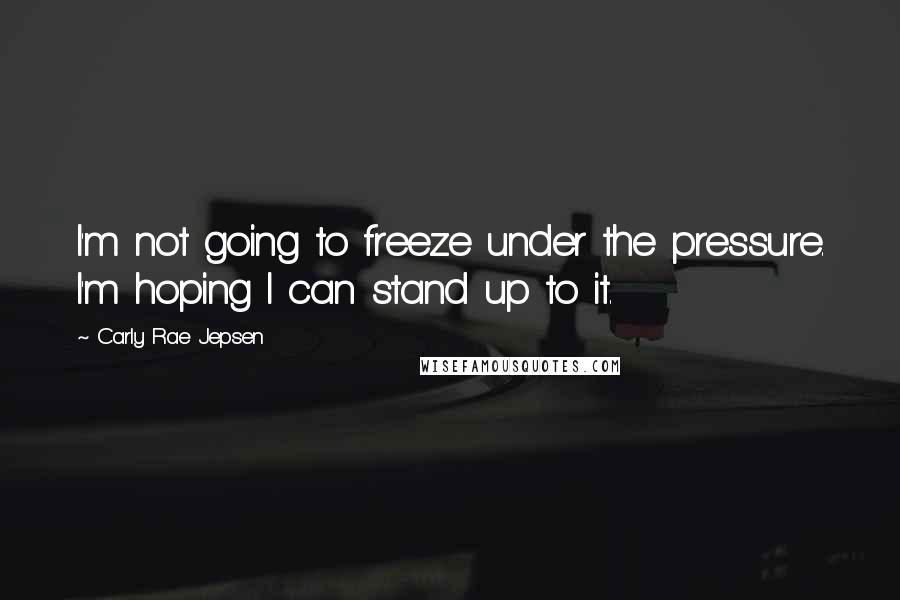 Carly Rae Jepsen Quotes: I'm not going to freeze under the pressure. I'm hoping I can stand up to it.