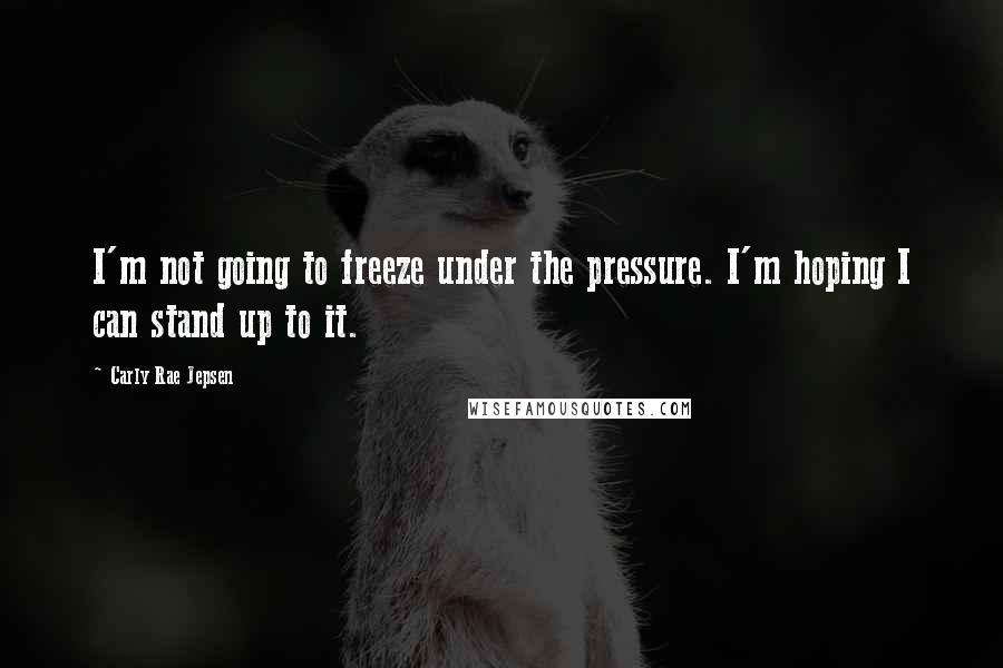 Carly Rae Jepsen Quotes: I'm not going to freeze under the pressure. I'm hoping I can stand up to it.