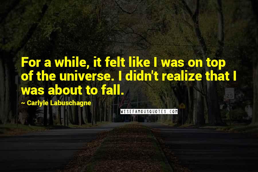 Carlyle Labuschagne Quotes: For a while, it felt like I was on top of the universe. I didn't realize that I was about to fall.