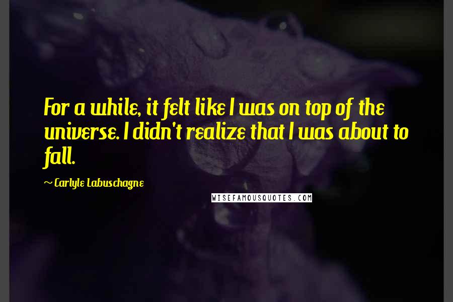 Carlyle Labuschagne Quotes: For a while, it felt like I was on top of the universe. I didn't realize that I was about to fall.