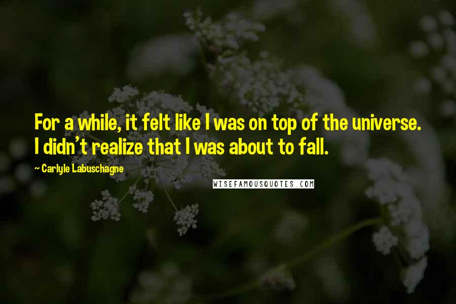 Carlyle Labuschagne Quotes: For a while, it felt like I was on top of the universe. I didn't realize that I was about to fall.