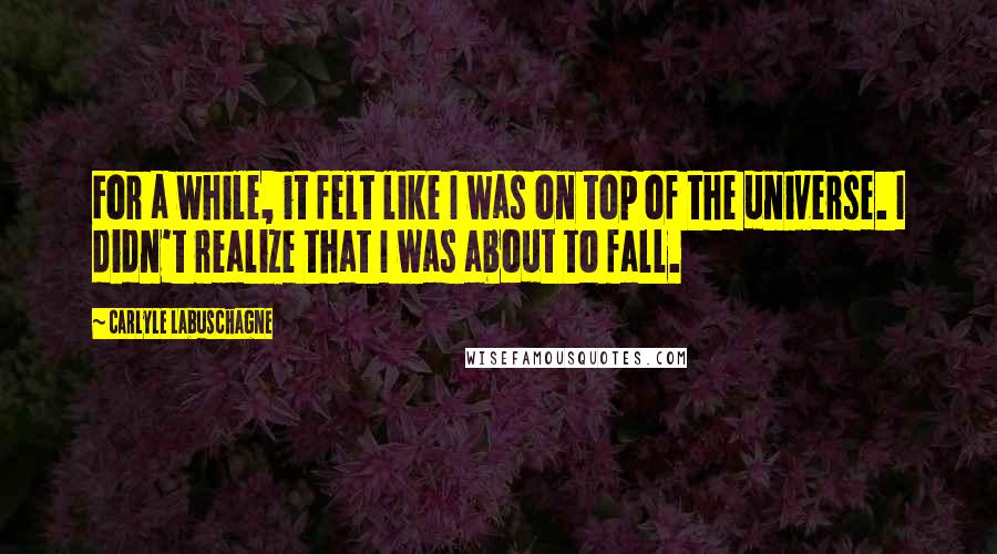 Carlyle Labuschagne Quotes: For a while, it felt like I was on top of the universe. I didn't realize that I was about to fall.