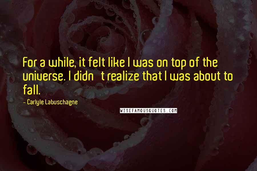 Carlyle Labuschagne Quotes: For a while, it felt like I was on top of the universe. I didn't realize that I was about to fall.