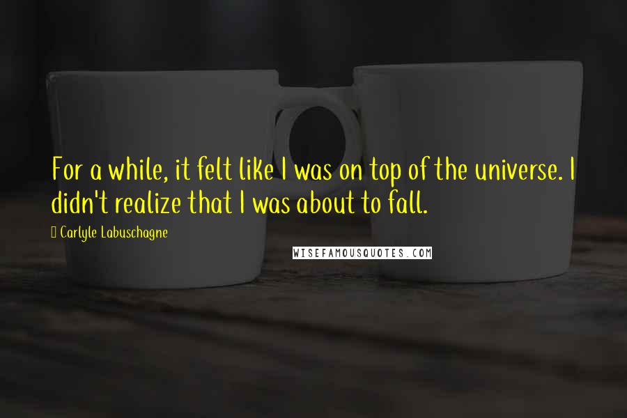 Carlyle Labuschagne Quotes: For a while, it felt like I was on top of the universe. I didn't realize that I was about to fall.