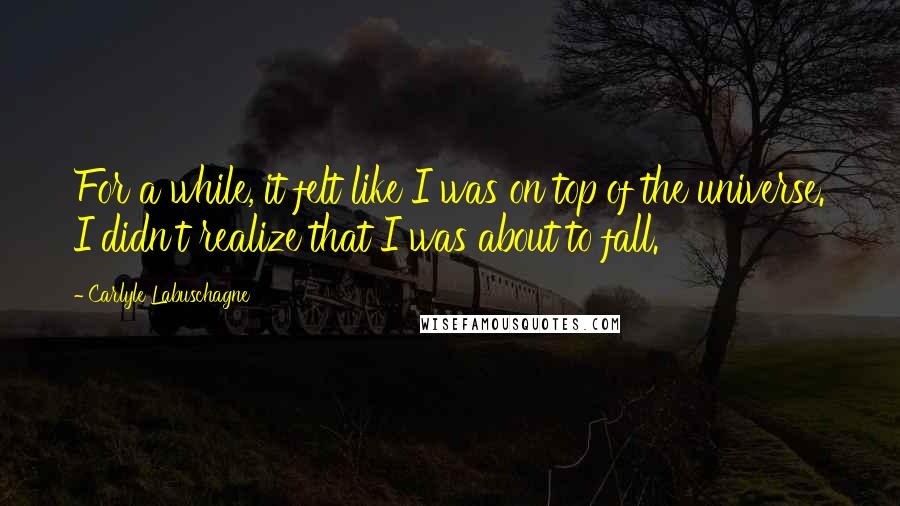 Carlyle Labuschagne Quotes: For a while, it felt like I was on top of the universe. I didn't realize that I was about to fall.