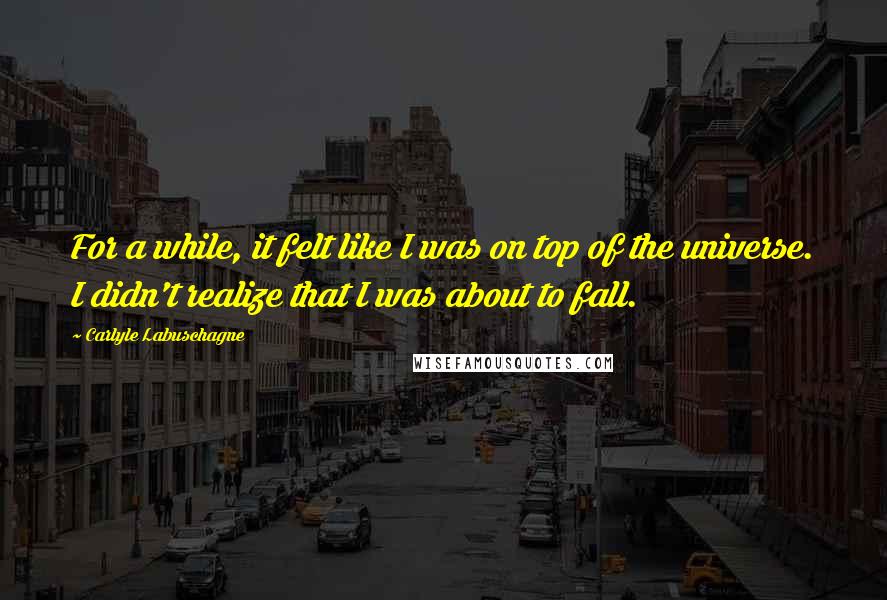 Carlyle Labuschagne Quotes: For a while, it felt like I was on top of the universe. I didn't realize that I was about to fall.