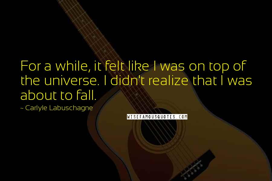 Carlyle Labuschagne Quotes: For a while, it felt like I was on top of the universe. I didn't realize that I was about to fall.